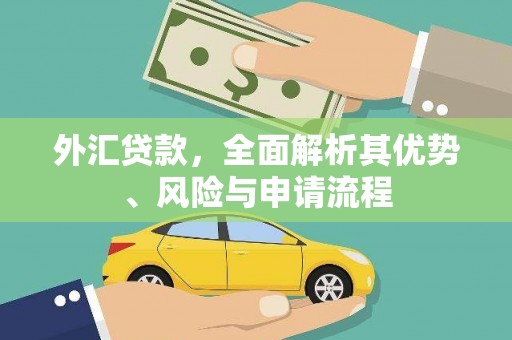 宜丰外汇贷款，全面解析其优势、风险与申请流程