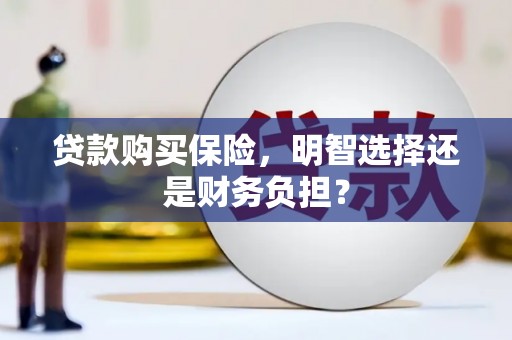 宜丰贷款购买保险，明智选择还是财务负担？