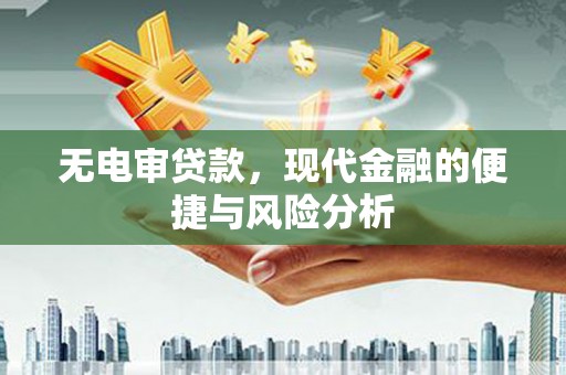 宜丰无电审贷款，现代金融的便捷与风险分析