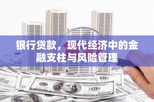 宜丰银行贷款，现代经济中的金融支柱与风险管理