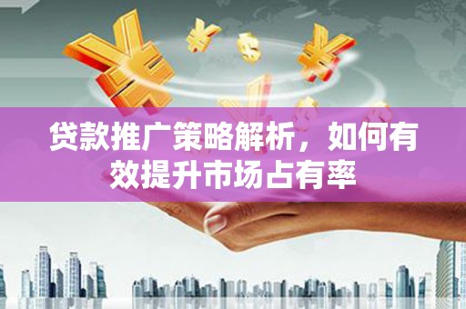 宜丰贷款推广策略解析，如何有效提升市场占有率