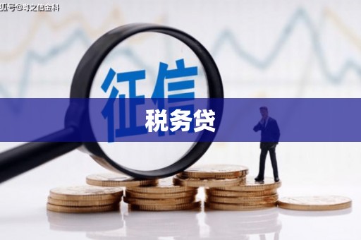 宜丰税务贷