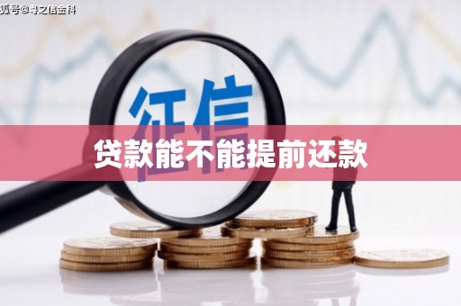 宜丰贷款能不能提前还款