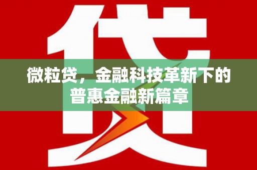 宜丰微粒贷，金融科技革新下的普惠金融新篇章