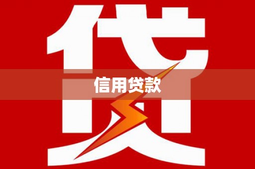 宜丰信用贷款
