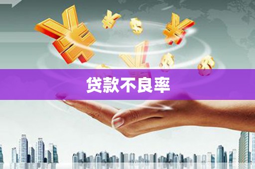 宜丰贷款不良率
