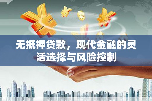 宜丰无抵押贷款，现代金融的灵活选择与风险控制