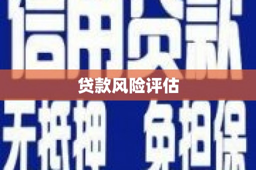 宜丰贷款风险评估