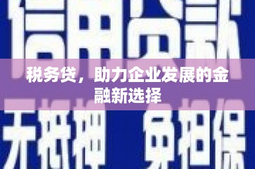 宜丰税务贷，助力企业发展的金融新选择