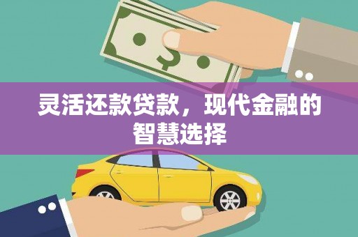 宜丰灵活还款贷款，现代金融的智慧选择