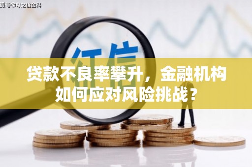 宜丰贷款不良率攀升，金融机构如何应对风险挑战？
