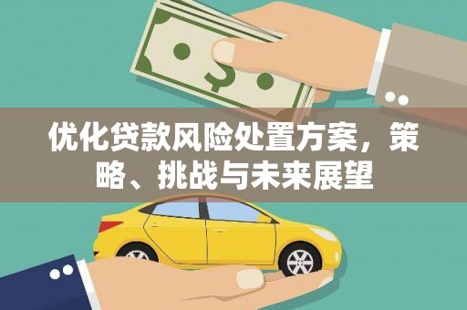 宜丰优化贷款风险处置方案，策略、挑战与未来展望