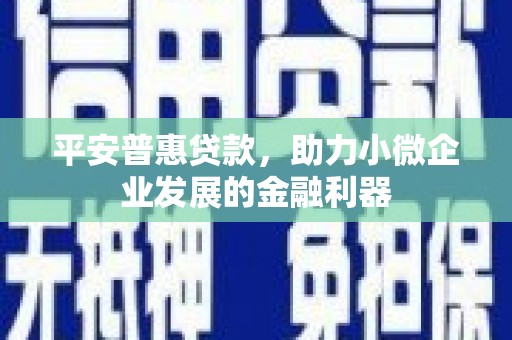 宜丰平安普惠贷款，助力小微企业发展的金融利器