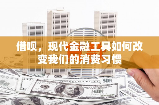 宜丰借呗，现代金融工具如何改变我们的消费习惯
