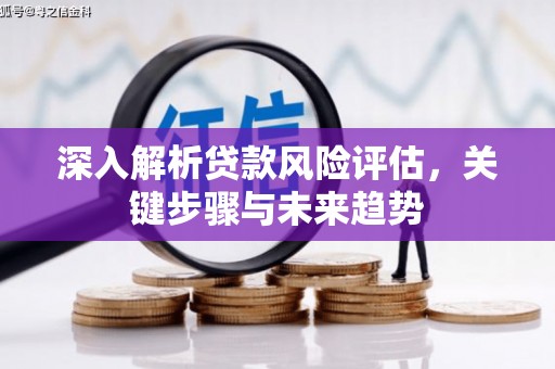 宜丰深入解析贷款风险评估，关键步骤与未来趋势