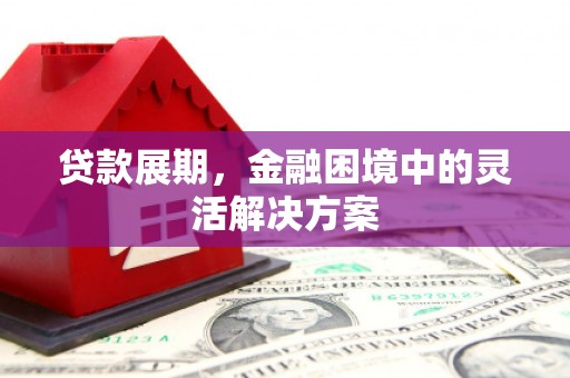 宜丰贷款展期，金融困境中的灵活解决方案