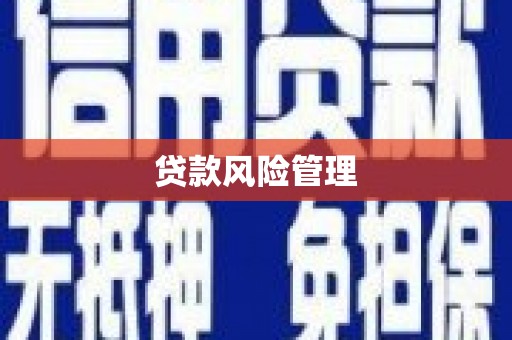 宜丰贷款风险管理