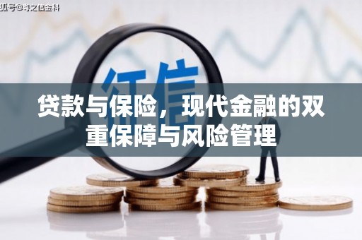 宜丰贷款与保险，现代金融的双重保障与风险管理