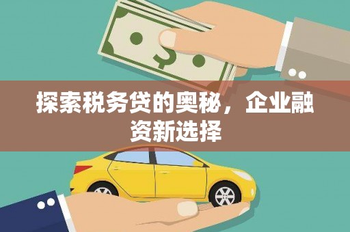宜丰探索税务贷的奥秘，企业融资新选择