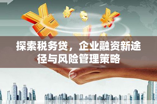 宜丰探索税务贷，企业融资新途径与风险管理策略