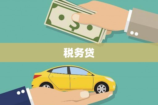 宜丰税务贷