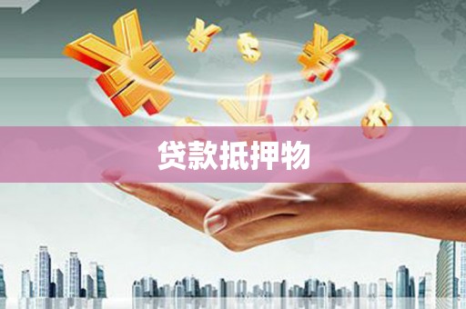 宜丰贷款抵押物