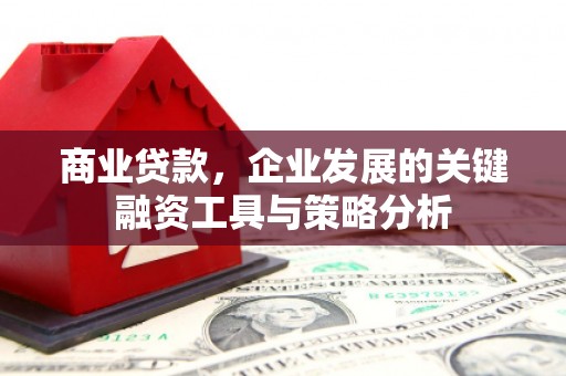 宜丰商业贷款，企业发展的关键融资工具与策略分析
