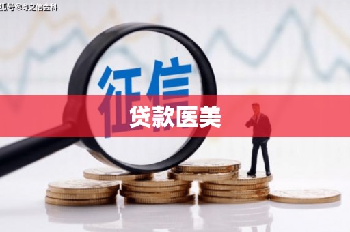 宜丰贷款医美
