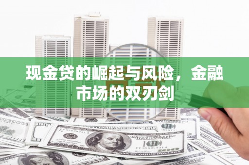宜丰现金贷的崛起与风险，金融市场的双刃剑