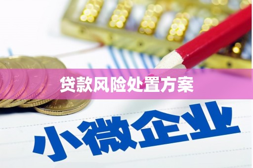 宜丰贷款风险处置方案