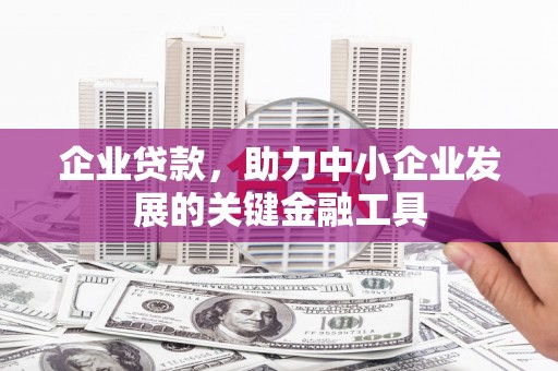 宜丰企业贷款，助力中小企业发展的关键金融工具