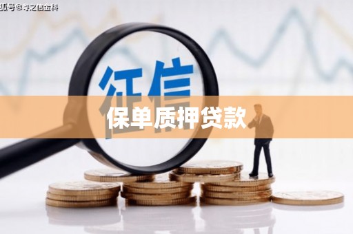 宜丰保单质押贷款