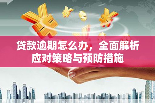 宜丰贷款逾期怎么办，全面解析应对策略与预防措施