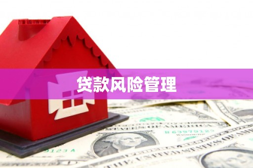 宜丰贷款风险管理
