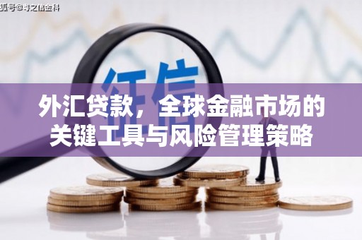宜丰外汇贷款，全球金融市场的关键工具与风险管理策略