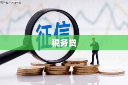 宜丰税务贷