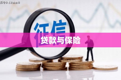 宜丰贷款与保险