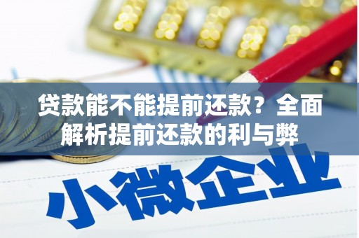 宜丰贷款能不能提前还款？全面解析提前还款的利与弊