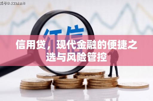 宜丰信用贷，现代金融的便捷之选与风险管控