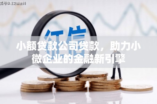 宜丰小额贷款公司贷款，助力小微企业的金融新引擎