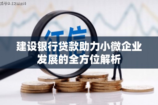 宜丰建设银行贷款助力小微企业发展的全方位解析