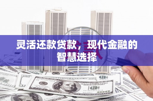 宜丰灵活还款贷款，现代金融的智慧选择