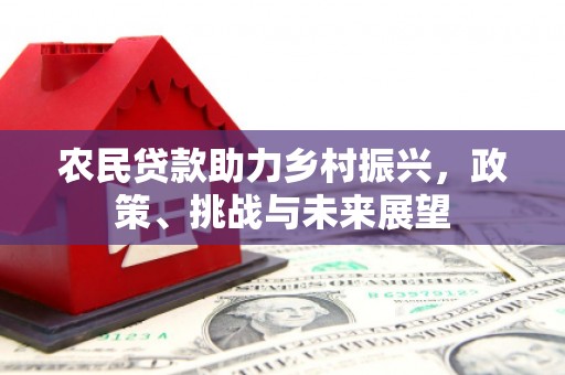 宜丰农民贷款助力乡村振兴，政策、挑战与未来展望