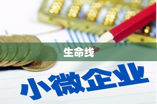 宜丰生命线