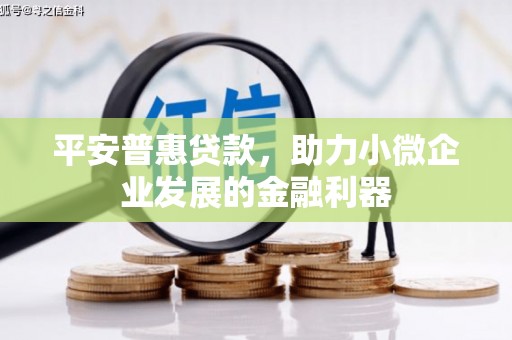宜丰平安普惠贷款，助力小微企业发展的金融利器