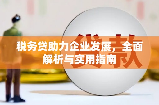 宜丰税务贷助力企业发展，全面解析与实用指南