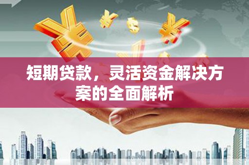 宜丰短期贷款，灵活资金解决方案的全面解析