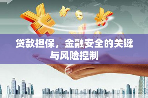 宜丰贷款担保，金融安全的关键与风险控制
