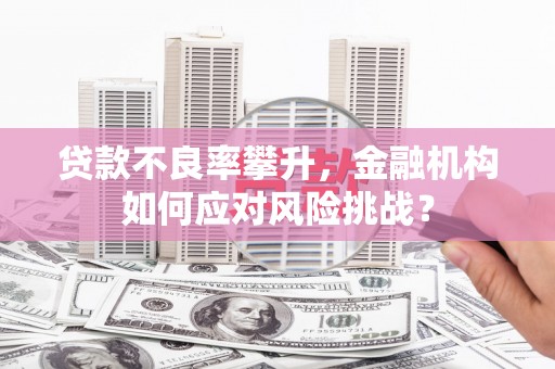 宜丰贷款不良率攀升，金融机构如何应对风险挑战？