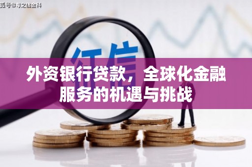 宜丰外资银行贷款，全球化金融服务的机遇与挑战